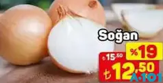 SOĞAN KG SOĞAN KG